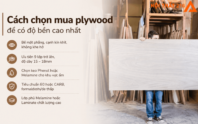 Độ bền gỗ Plywood có tốt không? Tuổi thọ và cách chọn 2026 9 Cach-chon-mua-plywood-de-co-do-ben-go-plywood-cao-nhat