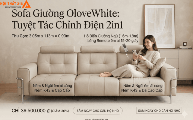 Ghế sofa gồm các loại nào? Top 10 dòng sofa xu hướng 2026 1 Tai-sao-sofa-giuong-OloveWhite-la-lua-chon-phu-hop-cho-xu-huong-2026-1